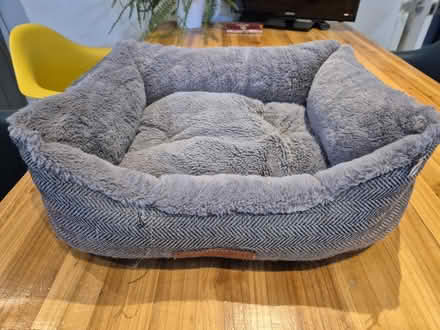 Photo of free Cat / small dog bed (Barnes) #1