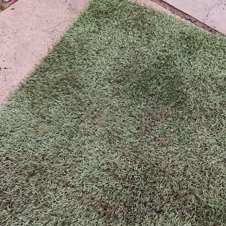 Photo of free Artificial Grass (Draycott) #1