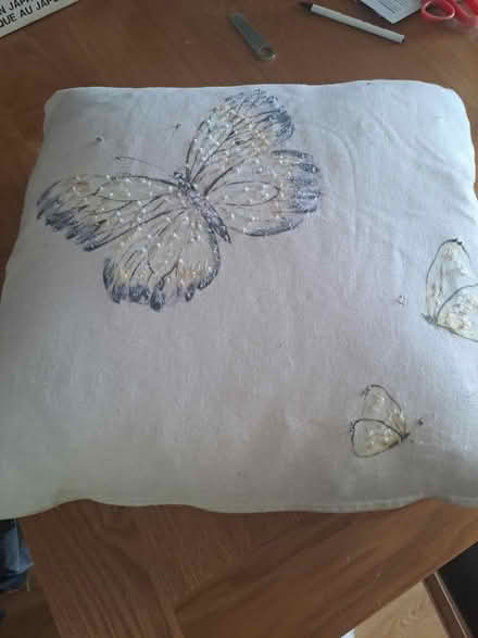 Photo of free 2 cushions (Emsworth PO10) #1