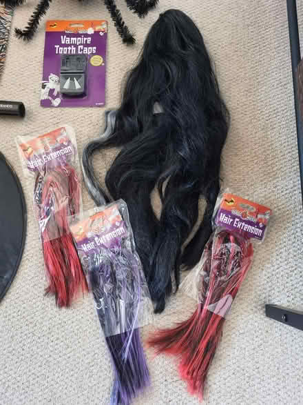 Photo of free Halloween bits & pieces (Hatfield Peverel CM3) #4