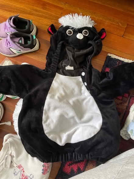 Photo of free Skunk Costume (Trumbull) #1