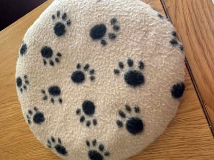 Photo of free Puppy stuff (Whitton TW2) #2