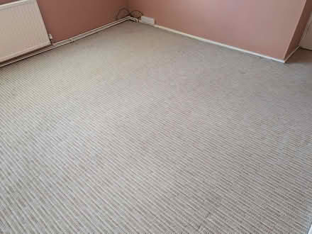 Photo of free Carpet (Beccles NR34) #3