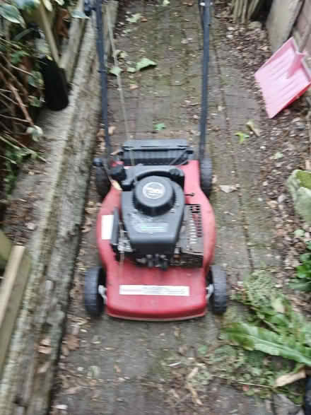 Photo of free Petrol lawn mower (B61 Bournheath) #2