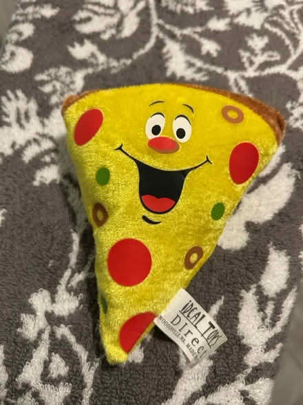 Photo of free Pizza toy (Congress Heights, SE DC) #1