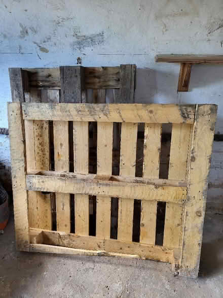 Photo of free Pallets (Clive Vale TN35) #1