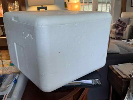 Photo of free Large styrofoam cooler (Near Oakland Terrace ES) #1