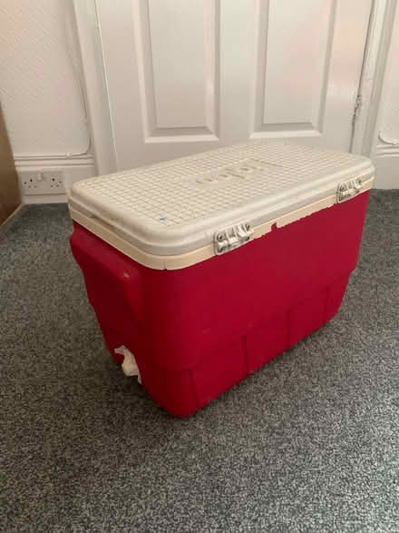 Photo of free Large igloo cool box (North Shields NE30) #2