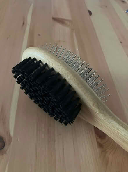 Photo of free Double sided dog brush (Okehampton) #4