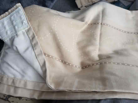 Photo of free Brown curtains (Shirley B90) #1