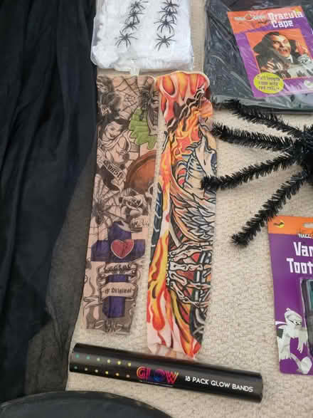 Photo of free Halloween bits & pieces (Hatfield Peverel CM3) #1