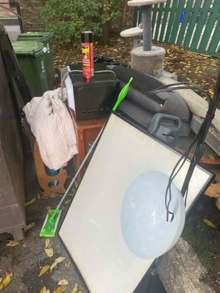 Photo of free Moving purge (The Annex) #3