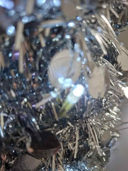 Photo of free Christmas Tree (Battery Operated Built-In Lights) (Panshanger AL7) #2