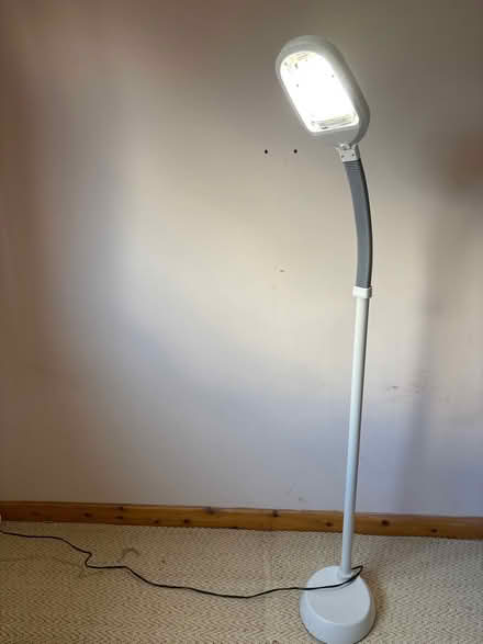 Photo of free Tall lamp, flexible head (Shotesham-All-Saints) #1