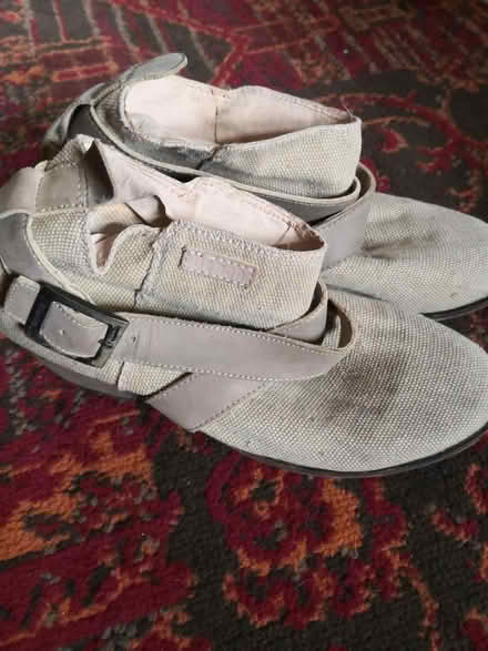 Photo of free Bench ankle shoes size 5 (B16) #1