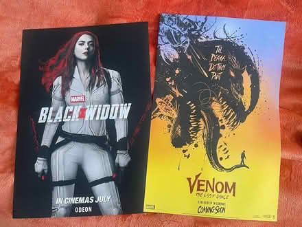 Photo of free Two posters (Southfields) #1