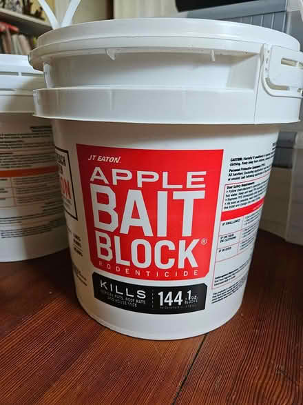 Photo of free bait for bait traps, apple edition (Roxbury) #1