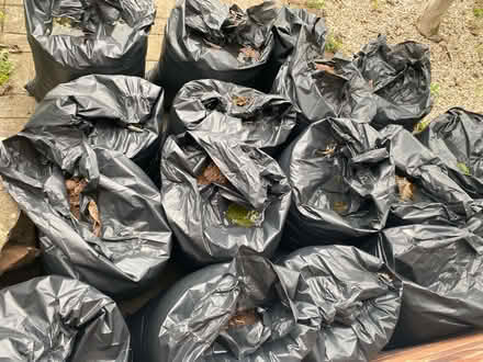 Photo of free Top soil (Coventry CV4) #1