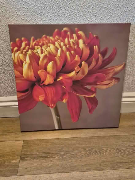 Photo of free Flower Canvas (Peasedown St John CP) #1