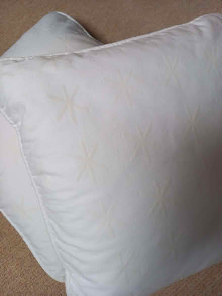 Photo of free Cushions (West Yatton SN14) #2