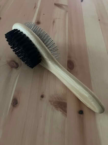 Photo of free Double sided dog brush (Okehampton) #3