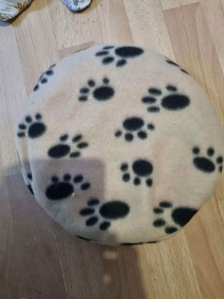 Photo of free Solid Snugglesafe heat pad for small animals (HA0) #1