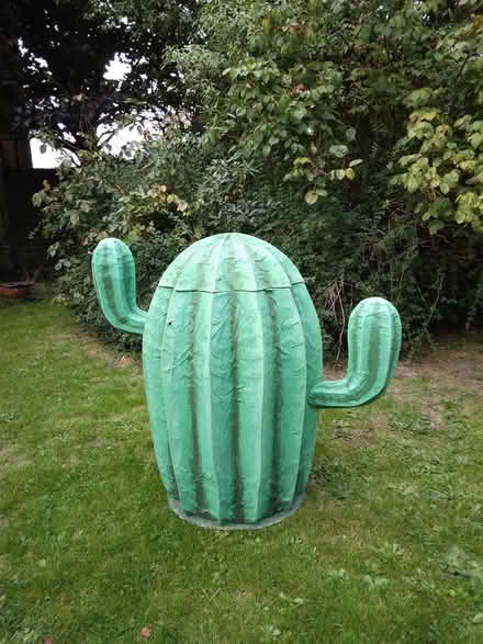 Photo of free Theatrical cactus prop! Novelty (Bosham, Chichester) #4
