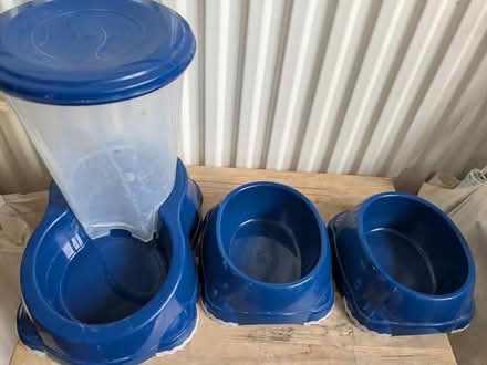 Photo of free Pet feeding/water things (N4 (Brownswood/Finsbury Park)) #1