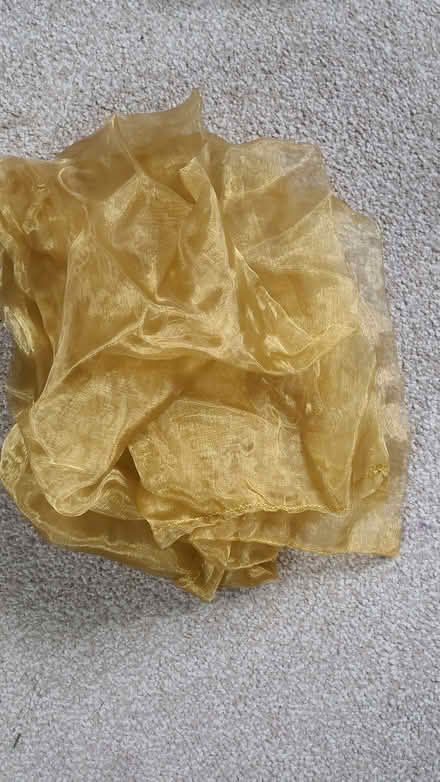Photo of free Dress up accessories. World Book Day. (Curbridge OX29) #1
