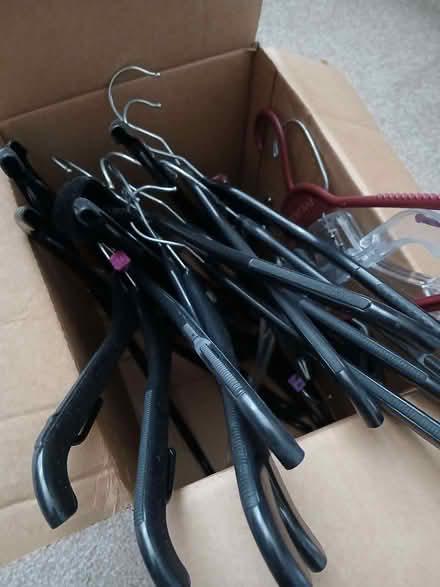 Photo of free Box of hangers (Arlesey SG15) #1