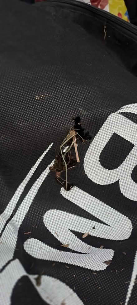 Photo of free 4in1 3000W Blower Vacuum (Churchdown) #3