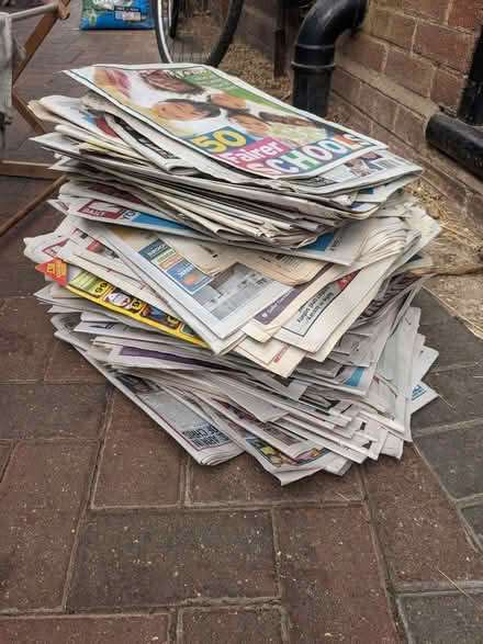 Photo of free Old newspapers (Bedford MK41) #1