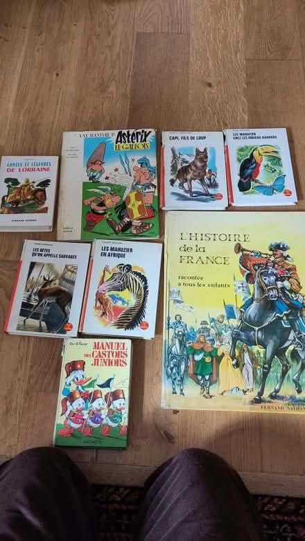 Photo of free French books (Alston CA9) #2