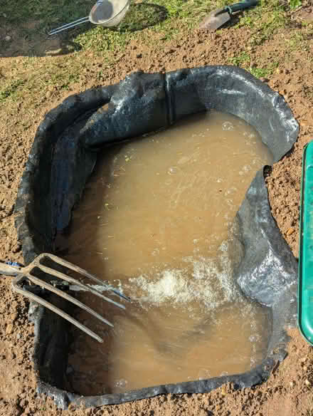 Photo of Plants (Monkwick CO2) #1