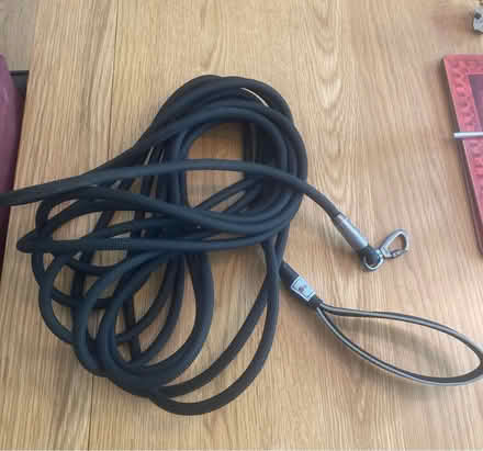 Photo of free 10m dog lead (Haywards Heath - Wickham Way) #1