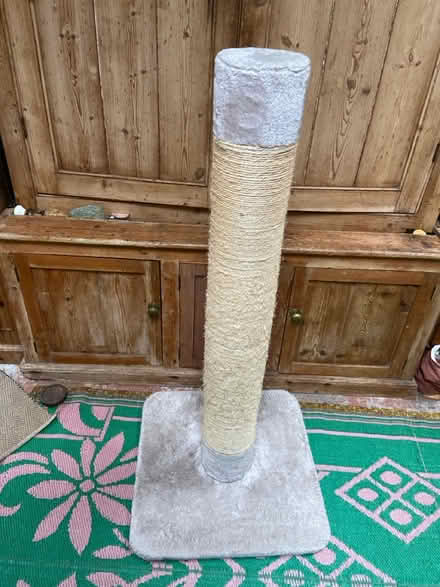 Photo of free Very tall cat scratching post (Morvah nr Penzance TR20) #1