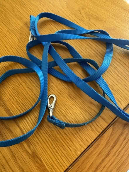 Photo of free Puppy stuff (Whitton TW2) #3