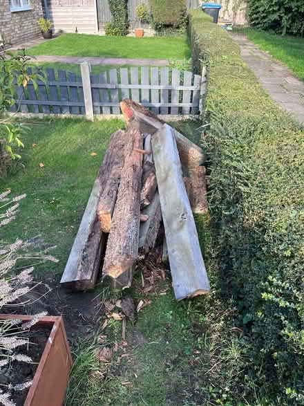 Photo of free Raised Beds -sleepers - allotment (Hp24jf) #3