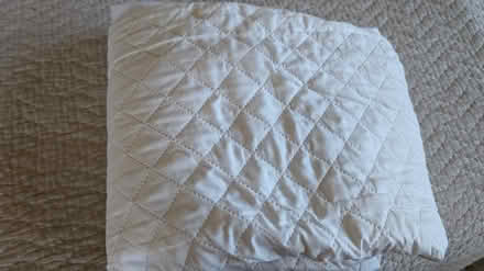 Photo of free Twin XL mattress protector - 2 (Cupertino/West San Jose) #1