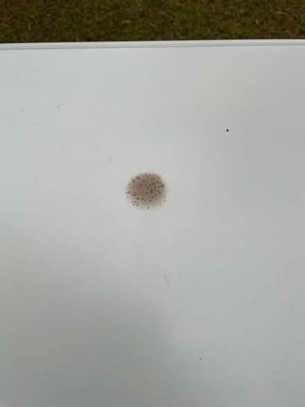 Photo of free Side or dressing table (Farnham,lower bourne) #2