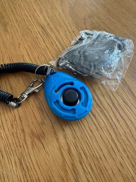 Photo of free Puppy stuff (Whitton TW2) #4