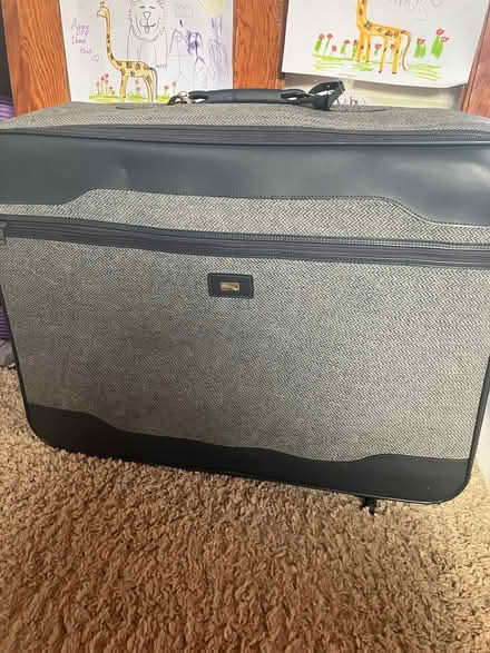 Photo of free Large and medium suitcases (Coulsdon, nr, train station) #1