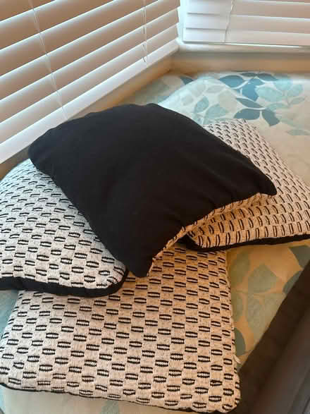 Photo of free Sets of cushions (Waverley Road. SE187TJ) #4
