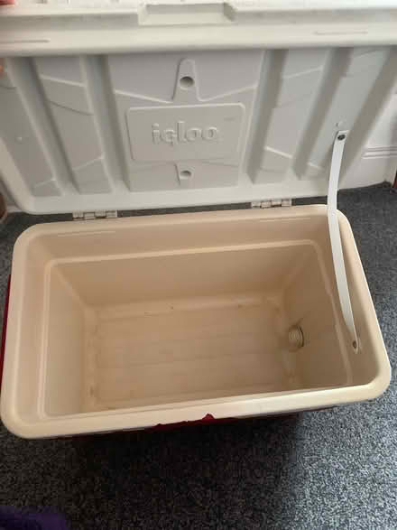 Photo of free Large igloo cool box (North Shields NE30) #3