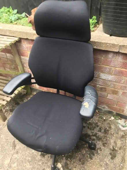 Photo of free Humanscale Freedom office Chair (Bromham MK43) #1