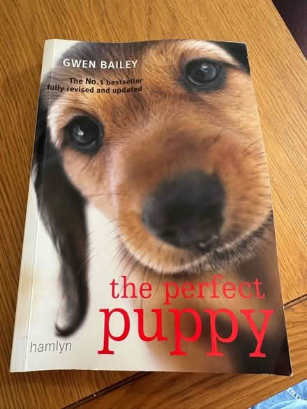 Photo of free Puppy stuff (Whitton TW2) #1