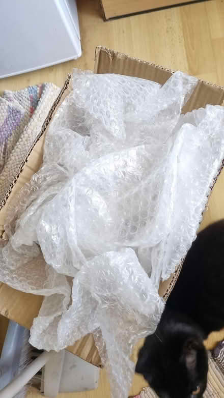 Photo of free Bubble wrap with still plenty life (St albans AL4) #1