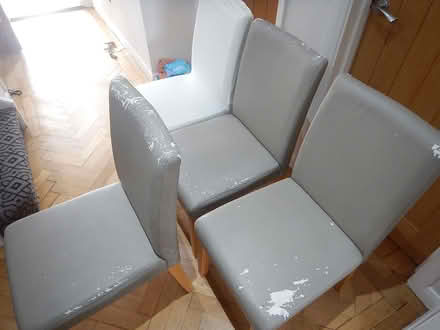 Photo of free 4 x Dining Chairs (Purley SM6) #3
