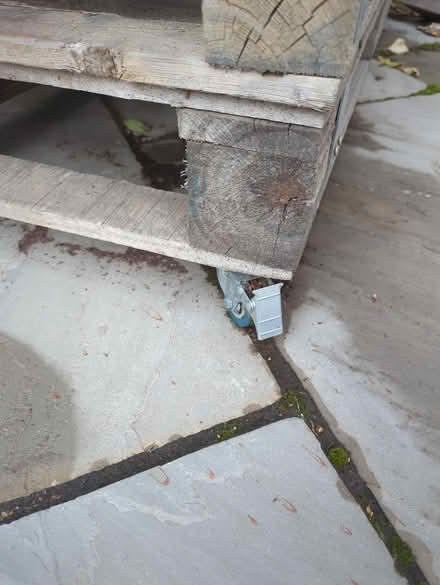 Photo of free Wooden Pallets on wheels (W3) #2