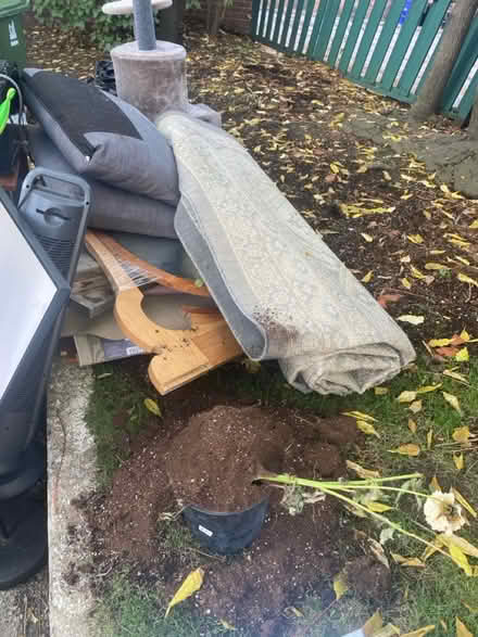 Photo of free Moving purge (The Annex) #2